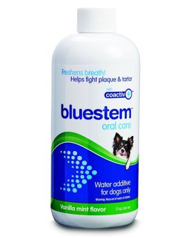 Bluestem Oral Care for Dogs Vanilla Mint 500ml