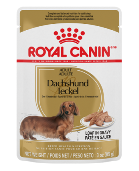Royal Canin Dachshund 3oz Pouch
